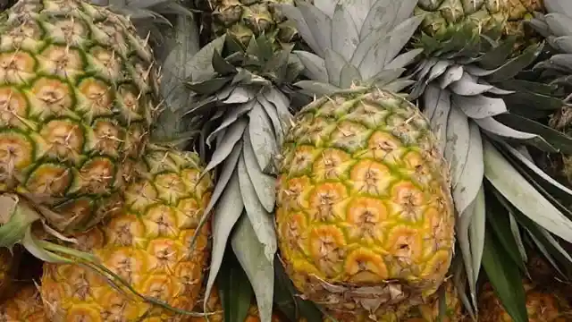 Pineapple