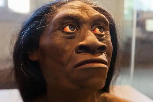 They Bred With Other Early Human Species