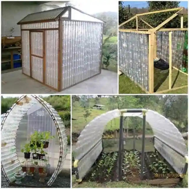 Plastic Bottle Greenhouse