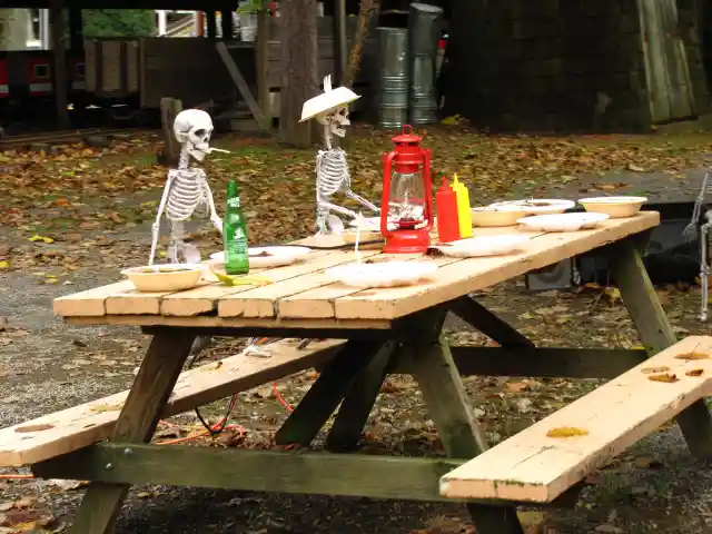 SkeletonPicnic Decoration