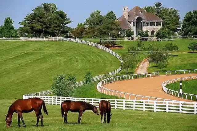 Conservative: Lexington, Kentucky