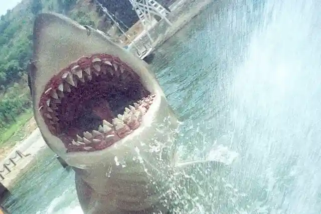 How Technical Difficulties And Tensions On Set Almost Destroyed ‘Jaws’