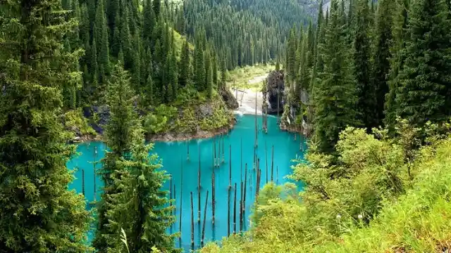 6. KAINDY LAKE IN KAZAKHSTAN