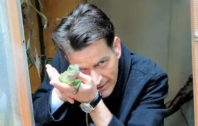 Charlie Sheen’s Chinese Water Dragon