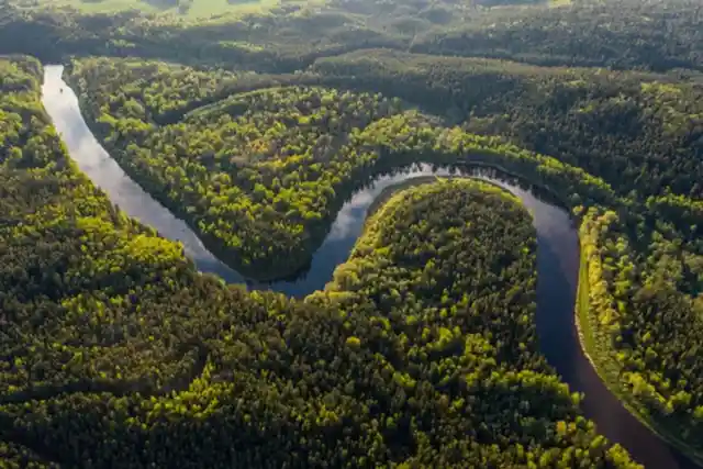 IN THE AMAZON