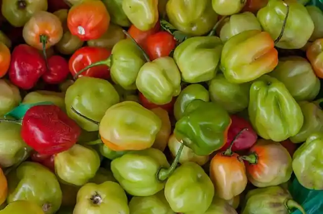 Bell Peppers