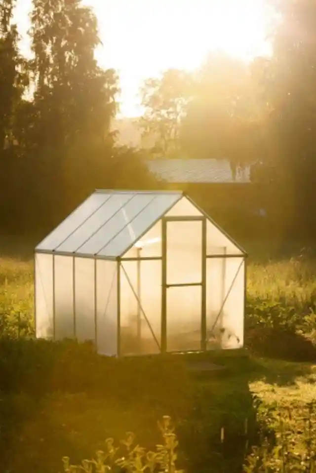 Bamboo Greenhouse