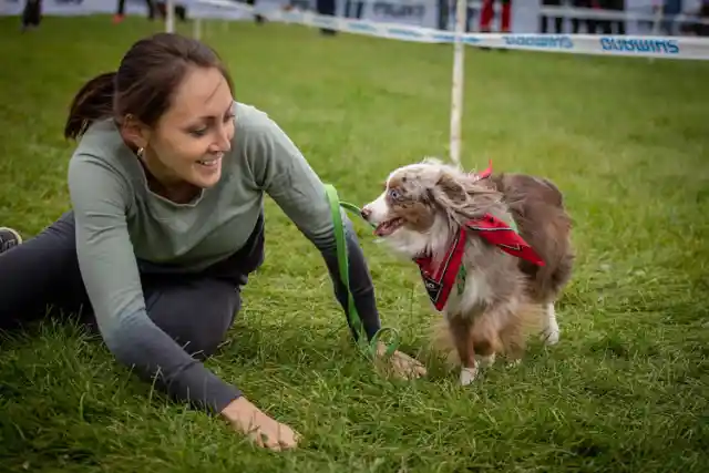 Dogs Can Be Therapeutic For Kids With ADHD