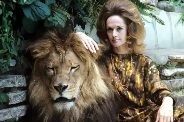 The Most Exotic Animals That Celebrities Kept As Pets