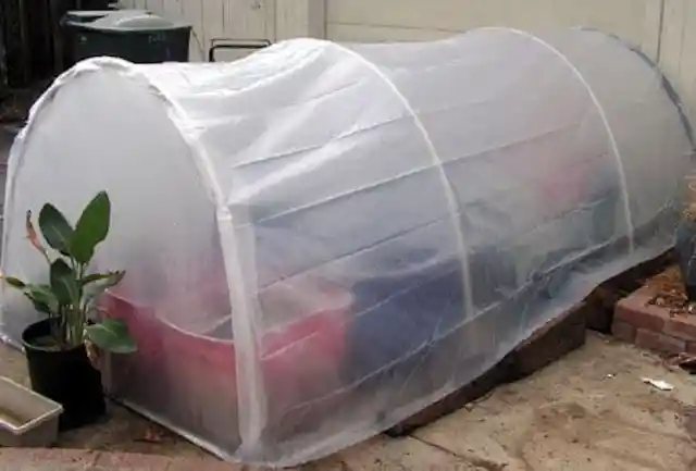 A Medium-Sized Greenhouse For Under $25