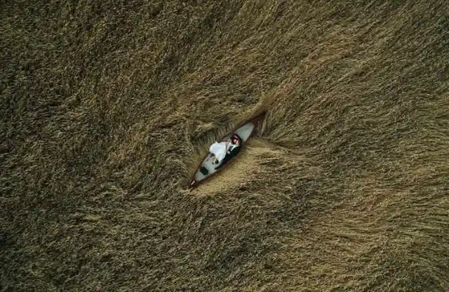 “Lovers In A Field”