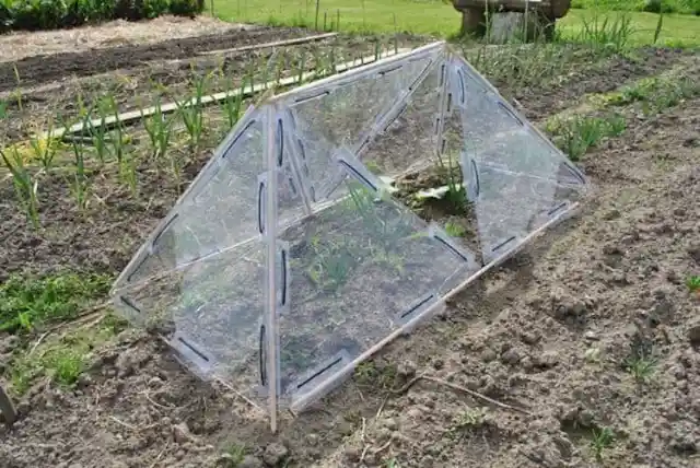 A Modular Greenhouse