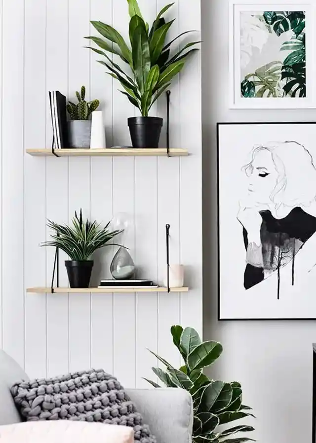 Liven Up Your Home With 20 Of The Best Patterned House Plants