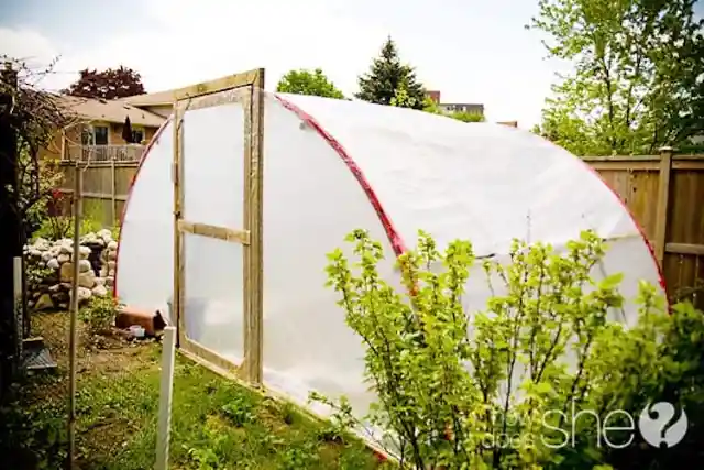 A Greenhouse Made From A Trampoline