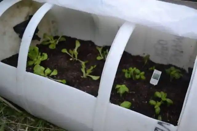 Portable Can Greenhouse