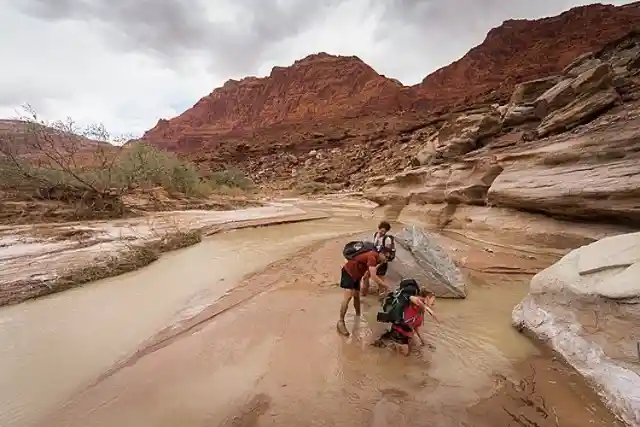 Here’s Why You Don’t See Quicksand In TV Shows Or Movies Anymore