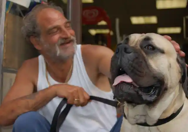 Dogs Can Extend The Lives of Elderly People