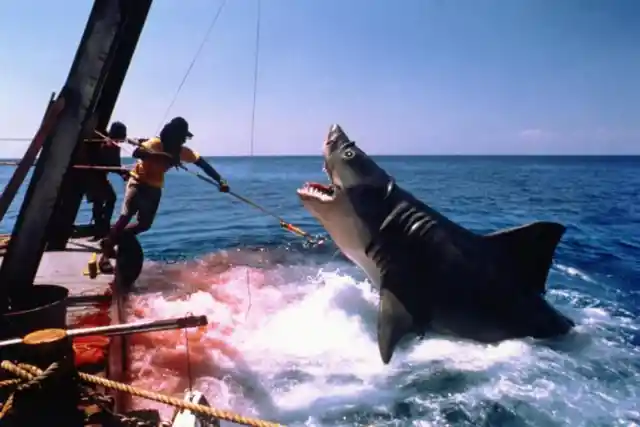 14. Jaws: The Revenge