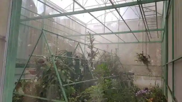 Complex Greenhouse