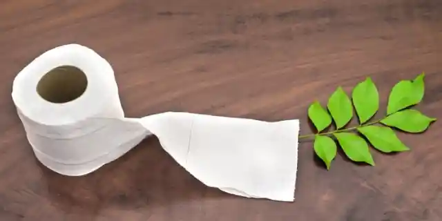 Leaves For Toilet Paper