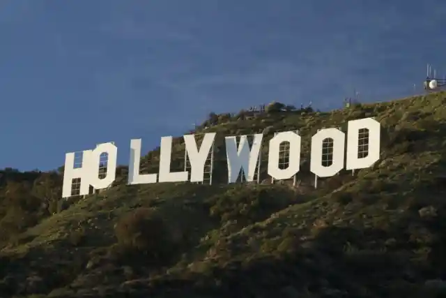 No More Than 2,000 Sheep Down Hollywood Boulevard