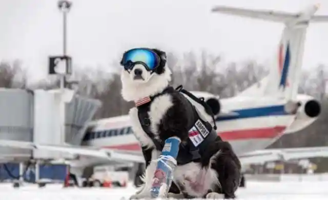 Runway Traffic