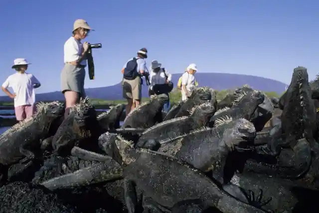 The Galapagos Islands, Ecuador – 150,000 Tourists Per Year