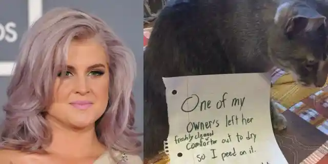 Kelly Osbourne – Allergic to Cat Urine