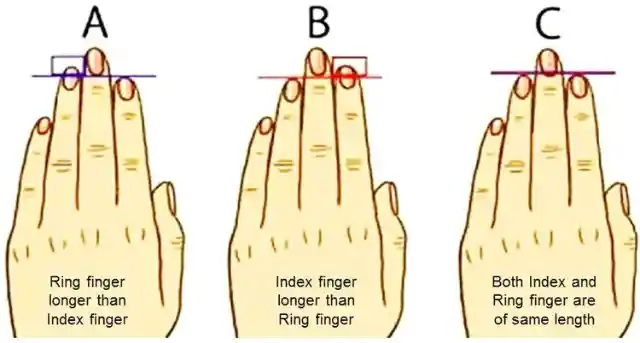 These Are The Not-So-Obvious Signs Of Highly Intelligent People