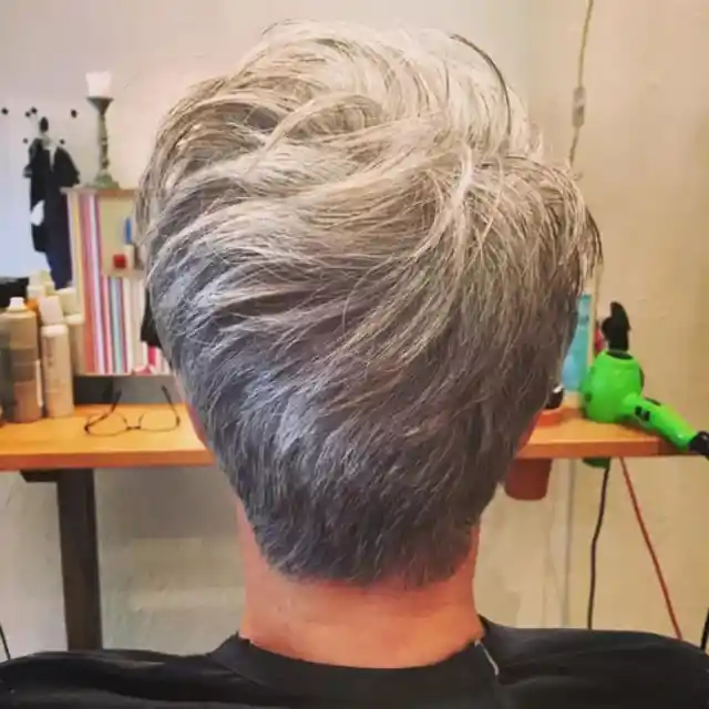 Silver Glow Gray Hair