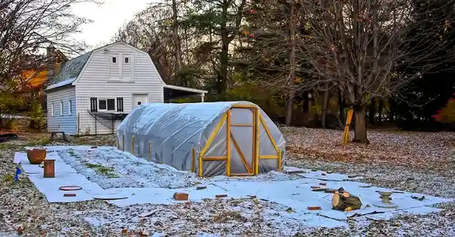 Set up An Aquaponics Farm