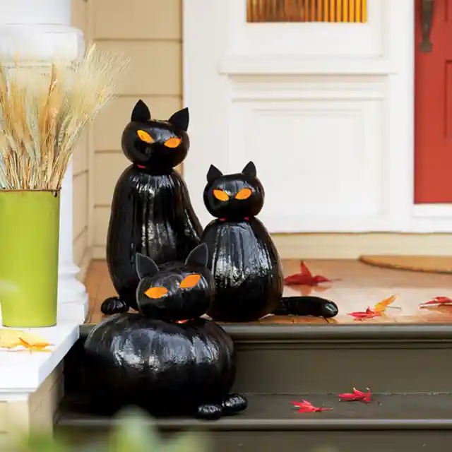 Black Cat O’Lanterns