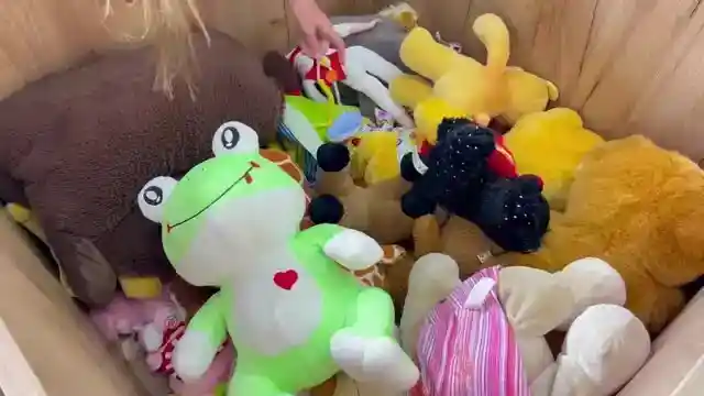 Stuffed Animals