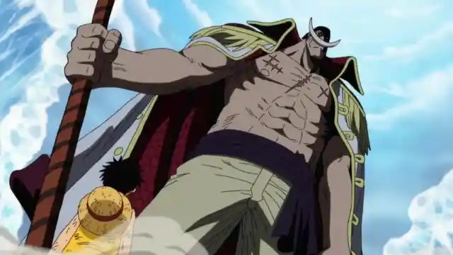 5. Whitebeard