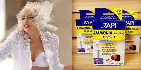 Lady Gaga – Allergic to Ammonia