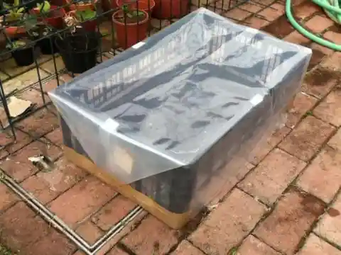 A Fruit Basket Greenhouse