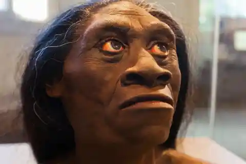 They Bred With Other Early Human Species