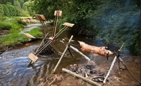 DIY Pig Roasting