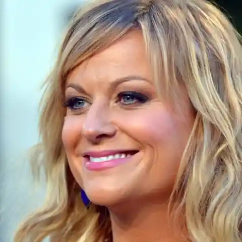 2014 #8. Amy Poehler – $7 Million