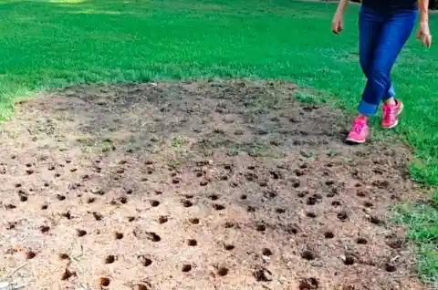 Installing A Fence