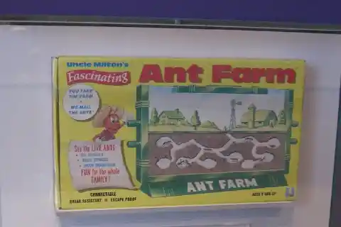 The Ants Go Marching