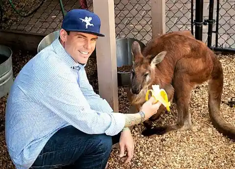 Vanilla Ice’s Kangaroo