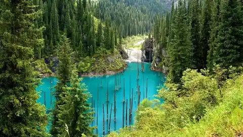 6. KAINDY LAKE IN KAZAKHSTAN