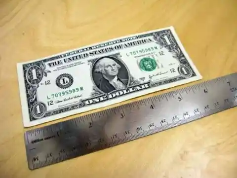 13. 6-Inch Ruler