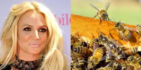 Britney Spears – Allergic to Bee Stings