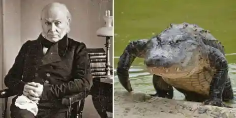 John Quincy Adams’s crocodile