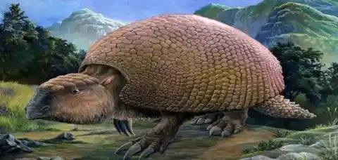 The Mystery Of The Glyptodons