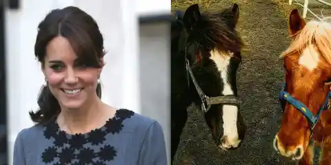 Kate Middleton – Allergic to Horses