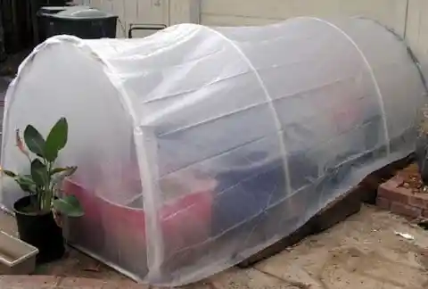 A Medium-Sized Greenhouse For Under $25