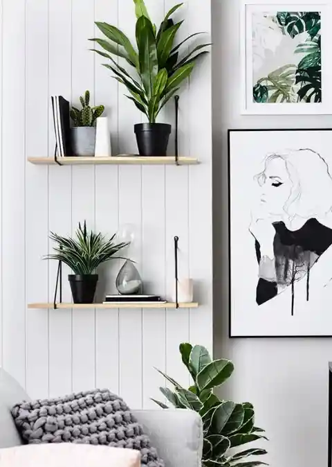 How To Decorate Your House With Plants